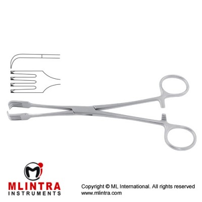 Czerny Tenaculum Forcep Stainless Steel, 21 cm - 8 1/4" Czerny Tenaculum Forcep Stainless Steel, 21 cm - 8 1/4"